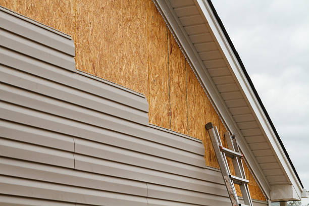 Professional Emergency Siding Repair technician working in Rochester, MN